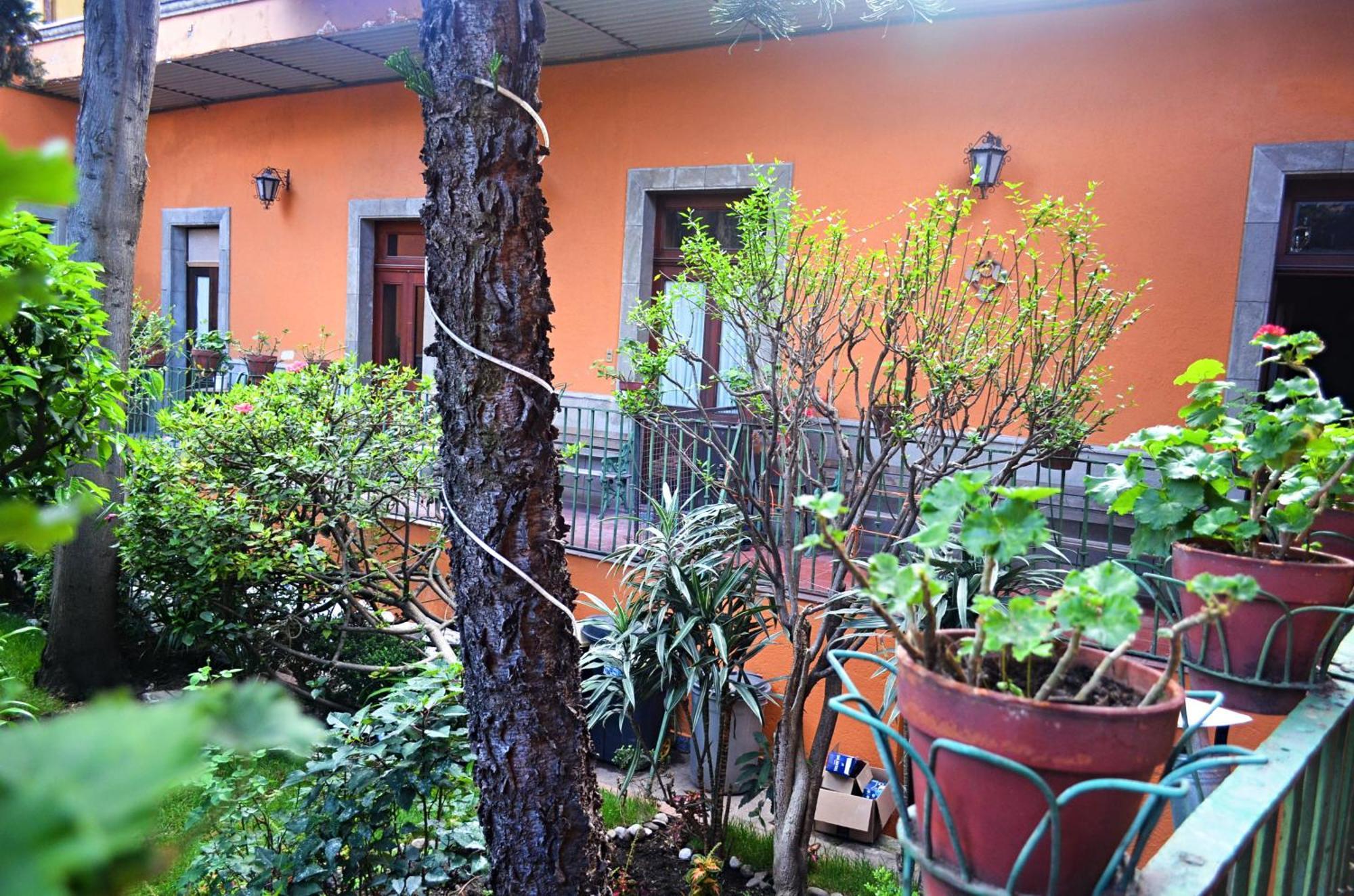 Hacienda Gobernadores เม็กซิโกซิตี้ ภายนอก รูปภาพ