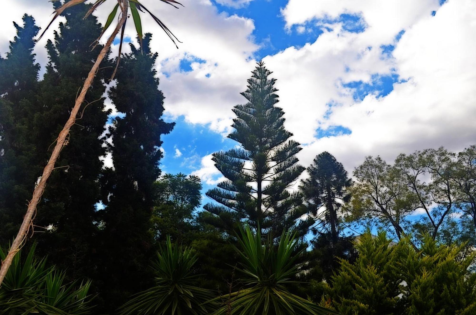 Hacienda Gobernadores เม็กซิโกซิตี้ ภายนอก รูปภาพ