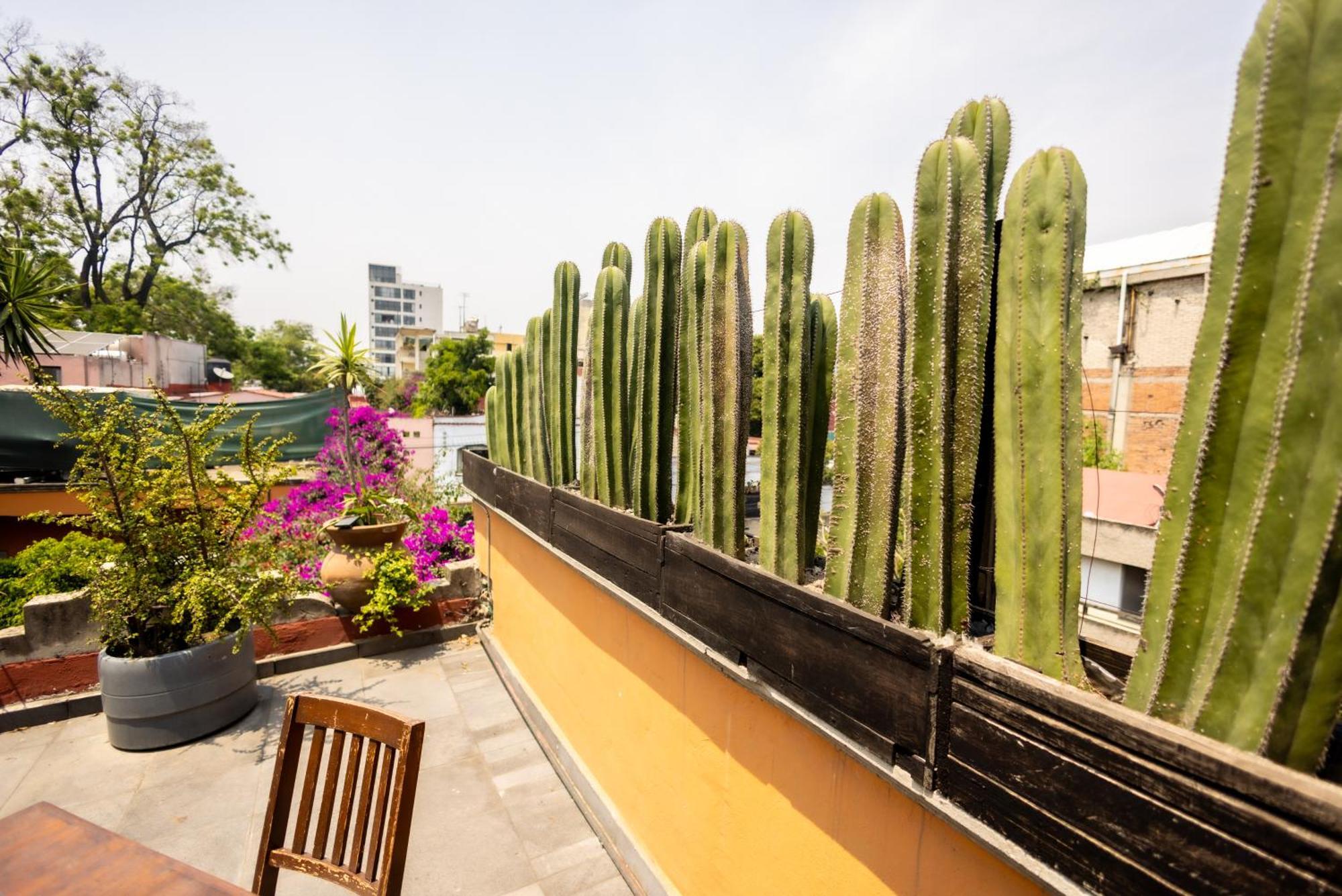 Hacienda Gobernadores เม็กซิโกซิตี้ ภายนอก รูปภาพ